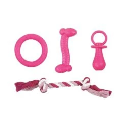 Pawise Puppy Life Teething Toy Set - Assorted Colors -Pet Products Store pawisepuppylifeteethingtoyset assortedcolors 4