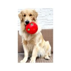 Pawise Shake Me Giggle Dog Toy -Pet Products Store pawiseshakemegiggledogtoy 4