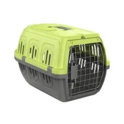 Pawise Travel Kennel Green, 48L X 33W X 28H Cm
