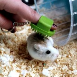 Pet Brands Finger Groomer For Small Animals -Pet Products Store pet brand finger groomer for small animals assorted colors 4