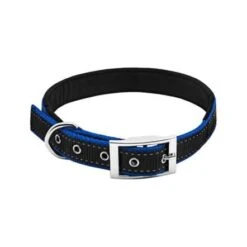 Pet Expert Reflective Padded Dog Collar - Blue/Black