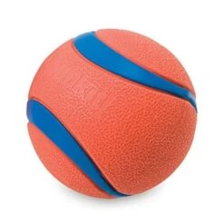 Petmate Chuckit! Ultra Ball For Dog