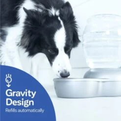 Petmate Replendish Waterer With Microban - Pearl Green Frost -Pet Products Store petmatereplendishwaterwithmicrobanbrushednickel 2