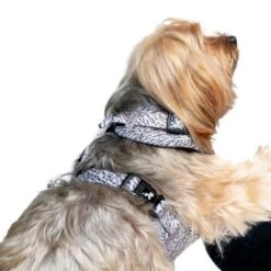 Pet Project Easy Vol 1 Adjustable Dog Harness -Pet Products Store petprojecteasyvol1adjustabledogharness 7