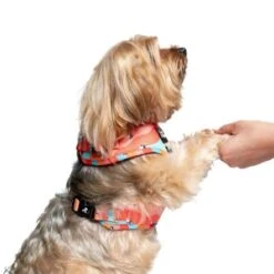 Pet Project Retro Stars Adjustable Dog Harness -Pet Products Store petprojectretrostarsadjustabledogharness 7