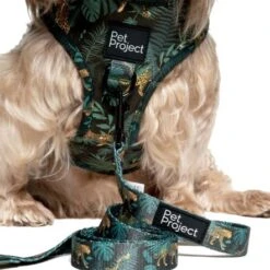 Pet Project Royal Leopard Adjustable Dog Harness -Pet Products Store petprojectroyalleopardadjustabledogharness 6
