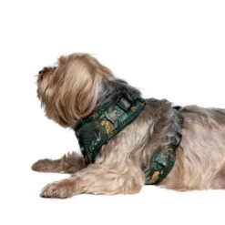 Pet Project Royal Leopard Adjustable Dog Harness -Pet Products Store petprojectroyalleopardadjustabledogharness 7