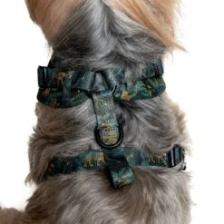 Pet Project Royal Leopard Adjustable Dog Harness -Pet Products Store petprojectroyalleopardadjustabledogharness 8