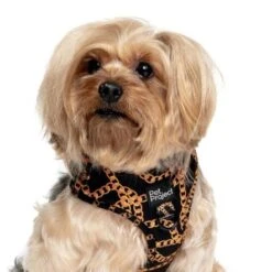 Pet Project Versai Black Adjustable Dog Harness -Pet Products Store petprojectversaiblackadjustabledogharness 6