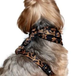 Pet Project Versai Black Adjustable Dog Harness -Pet Products Store petprojectversaiblackadjustabledogharness 7