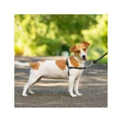 PetSafe Easy Walk Adjustable Dog Harness - Black 8 PetSafe Easy Walk Adjustable Dog Harness - Black -Pet Products Store petsafeeasywalkadjustabledogharness black small 1