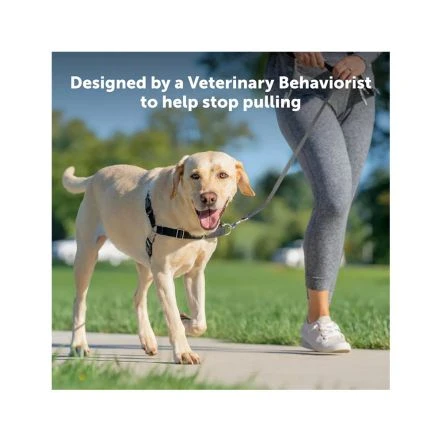 PetSafe Easy Walk Adjustable Dog Harness - Black 6 PetSafe Easy Walk Adjustable Dog Harness - Black - Image 4