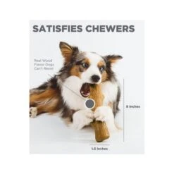 Petstages Dogwood Stick -Pet Products Store petstagesdogwoodstick xsmall 4