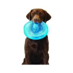 PetstagesOrka Flyer -Pet Products Store petstagesorkaflyer 4