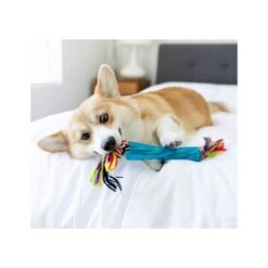 Petstages Orka Stick -Pet Products Store petstagesorkastick 3