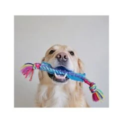 Petstages Orka Stick -Pet Products Store petstagesorkastick 4