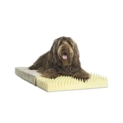 Pet Therapeutics Orthopedic Foam Comfort Pet Bed - 23L X 36W Inch