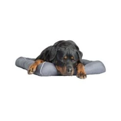 Pet Therapeutics TheraCool Cooling Gel Pet Bed -Pet Products Store pettherapeuticstheracoolcoolinggelpetbed 2