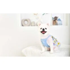 Puppia Arabis One-piece Pet Dress - Sky Blue -Pet Products Store puppiaarabisone piecepetdress skyblue small 4 1