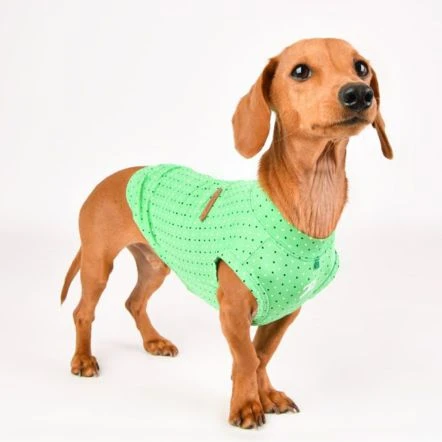 Puppia Bonnie Harness T-Shirt For Dogs - Green 5 Puppia Bonnie Harness T-Shirt For Dogs - Green - Image 3