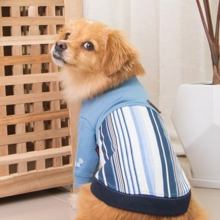 Puppia Caiden Pava T-Shirt For Dogs - Blue 5 Puppia Caiden Pava T-Shirt For Dogs - Blue - Image 3