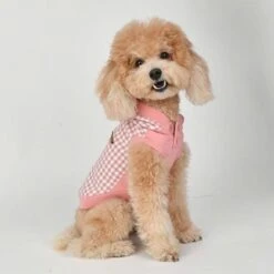 Puppia Collette Dog Hooded T-shirt, Indian Pink -Pet Products Store puppiacollettedoghoodedt shirtindianpinksmall 3