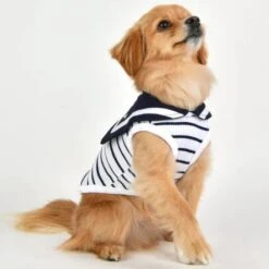 Puppia Cordelia Dog T-Shirt - White -Pet Products Store puppiacordeliadogt shirt white small 3 3