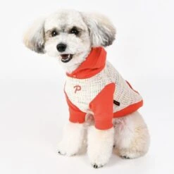 Puppia Gavin Dog T-Shirt With Hoodie - Orange -Pet Products Store puppiagavindogt shirtwithhoodie orange 3