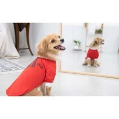 Puppia Goalkeeper Dog-Tshirt - Red -Pet Products Store puppiagoalkeeperdog tshirt red small 4 1