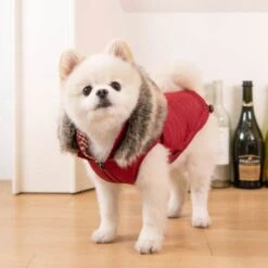 Puppia Hollis Reversible Hooded Winter Coat - Red -Pet Products Store puppiahollisreversiblehoodedwintercoat red xxlarge 3