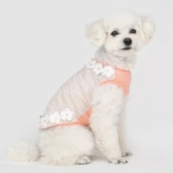 Puppia Jazlyn Sleeveless Shirts - Pink -Pet Products Store puppiajazlynsleevelessshirts pink small 3