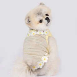 Puppia Jazlyn Sleeveless Shirts - Yellow 8 Puppia Jazlyn Sleeveless Shirts - Yellow -Pet Products Store puppiajazlynsleevelessshirts yellow small 3 1