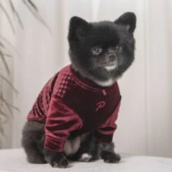 Puppia Kendall Dog T-Shirt - Wine Red -Pet Products Store puppiakendalldogt shirt winered 3