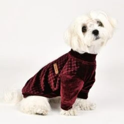 Puppia Kendall Dog T-Shirt - Wine Red -Pet Products Store puppiakendalldogt shirt winered 4