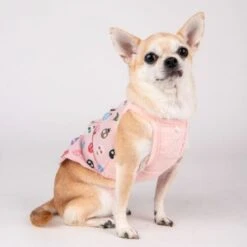 Puppia Lady Beetle Dog T-Shirt - Indian Pink -Pet Products Store puppialadybeetledogt shirt indianpink 3