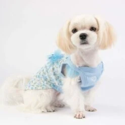 Puppia Lobelia Dog Hooded T-shirts, Sky Blue -Pet Products Store puppialobeliadoghoodedt shirtsskybluelarge 3