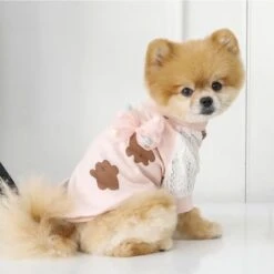 Puppia Millie Round Neck T-Shirt - Indian Pink 8 Puppia Millie Round Neck T-Shirt - Indian Pink -Pet Products Store puppiamillieroundneckt shirt indianpink small 3