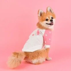 Puppia Mon Ours Pink Dog T-Shirt -Pet Products Store puppiamonourspinkdogt shirtlarge 2