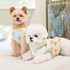 Puppia Ours Cream Dog T-Shirt -Pet Products Store puppiaourscreamdogtshirtlarge 3