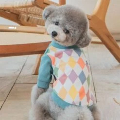 Puppia Sheridan Round Neck Dog T-Shirt - Turquoise -Pet Products Store puppiasheridanroundneckdogt shirt turquoise large 3