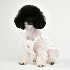 Puppia Sherie Ivory Dog T-Shirt -Pet Products Store puppiasherieivorydogt shirtlarge 3