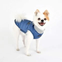 Puppia Wagner Waterproof Winter Wear - Blue -Pet Products Store puppiawagnerwaterproofwinterwear blue 4