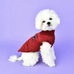 Puppia Wagner Waterproof Winter Wear - Wine -Pet Products Store puppiawagnerwaterproofwinterwear wine 4
