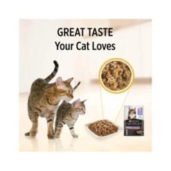 Purina Pro Plan Kitten Tender Pieces With Chicken In Jelly Wet Cat Food - 85 G - Pack Of 12 -Pet Products Store purinaproplankittentenderpieceswithchickeninjellywetcatfood 85g packof12 4