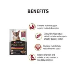 Purina Pro Plan Tender Pieces With Chicken In Gravy Wet Cat Food - 85 G - Pack Of 12 -Pet Products Store purinaproplantenderpieceswithchickeningravywetcatfood 85g packof12 6