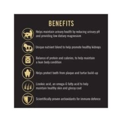 Purina Pro Plan Urinary Care Chicken Dry Cat Food - 1.5 Kg 13 Purina Pro Plan Urinary Care Chicken Dry Cat Food - 1.5 Kg -Pet Products Store purinaproplanurinarycarechickendrycatfood 1.5kg 5