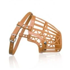 Raintech Plastic Muzzle For Dog