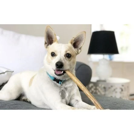 Redbarn Bully Stick Dog Treat 4 Redbarn Bully Stick Dog Treat - Image 2