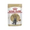 Royal Canin British Shorthair Cat Food 85g - Pack Of 12 -Pet Products Store royalcaninbritishshorthaircatfood85gpackof12 1