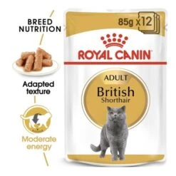 Royal Canin British Shorthair Cat Food 85g - Pack Of 12 -Pet Products Store royalcaninbritishshorthaircatfood85gpackof12 2